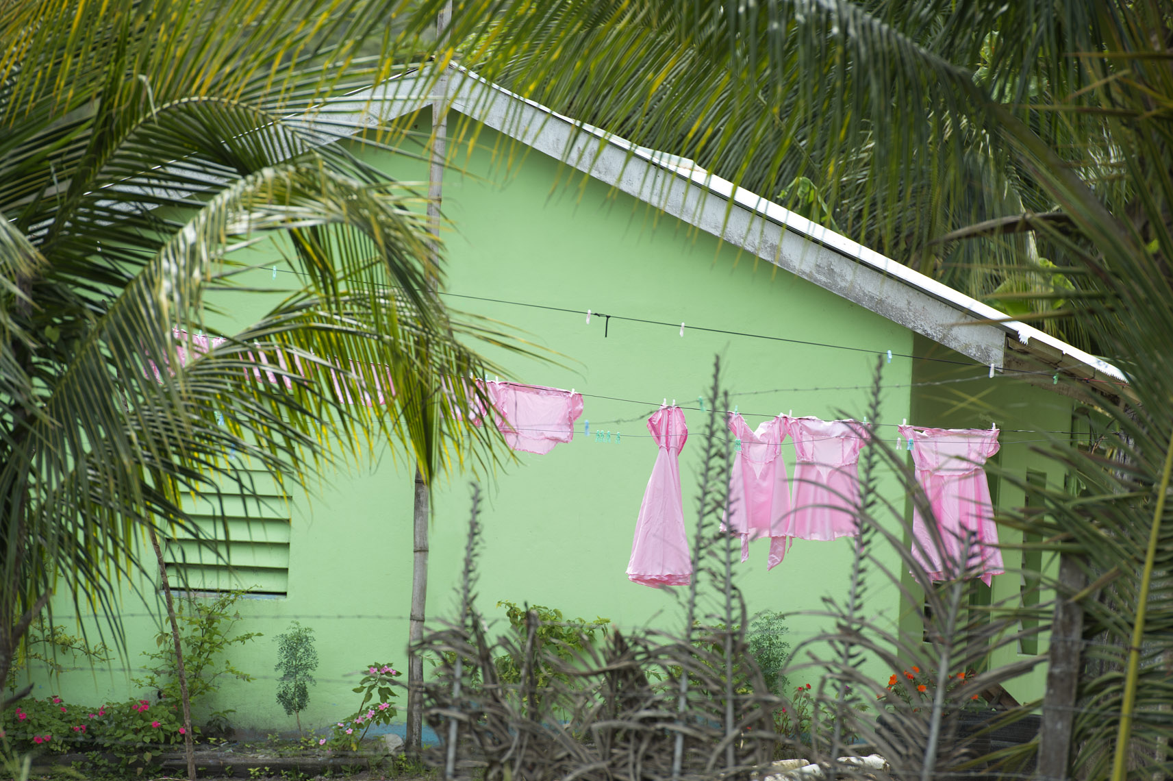 Belize Pink