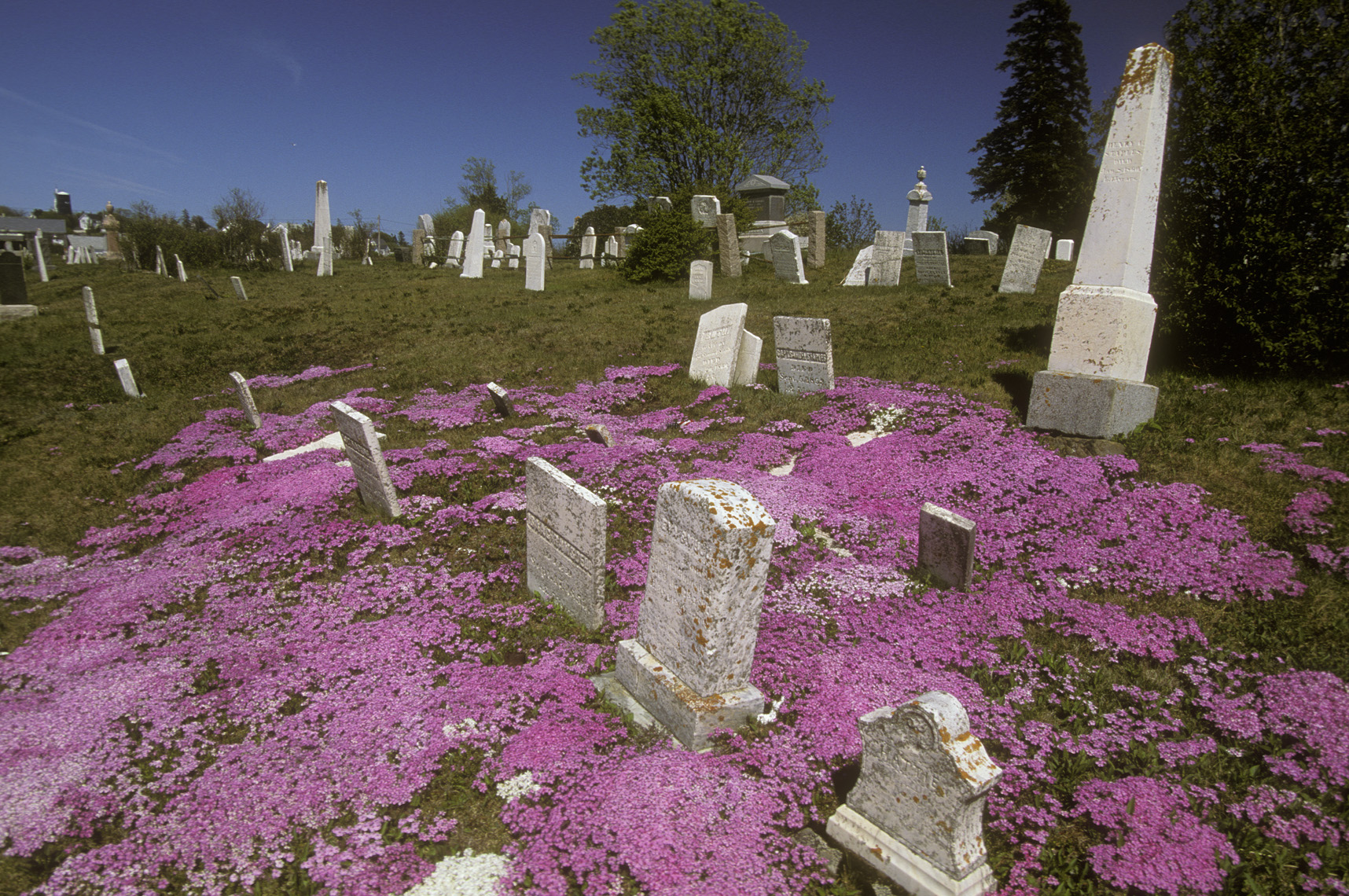 Maine Graveyard.jpg