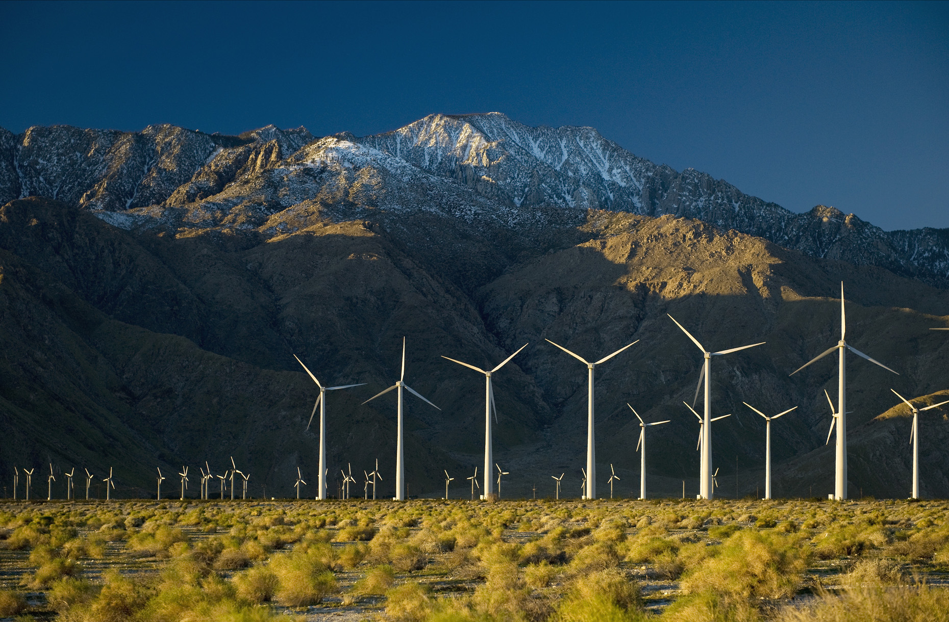 Palm Springs Wind Machines.jpg
