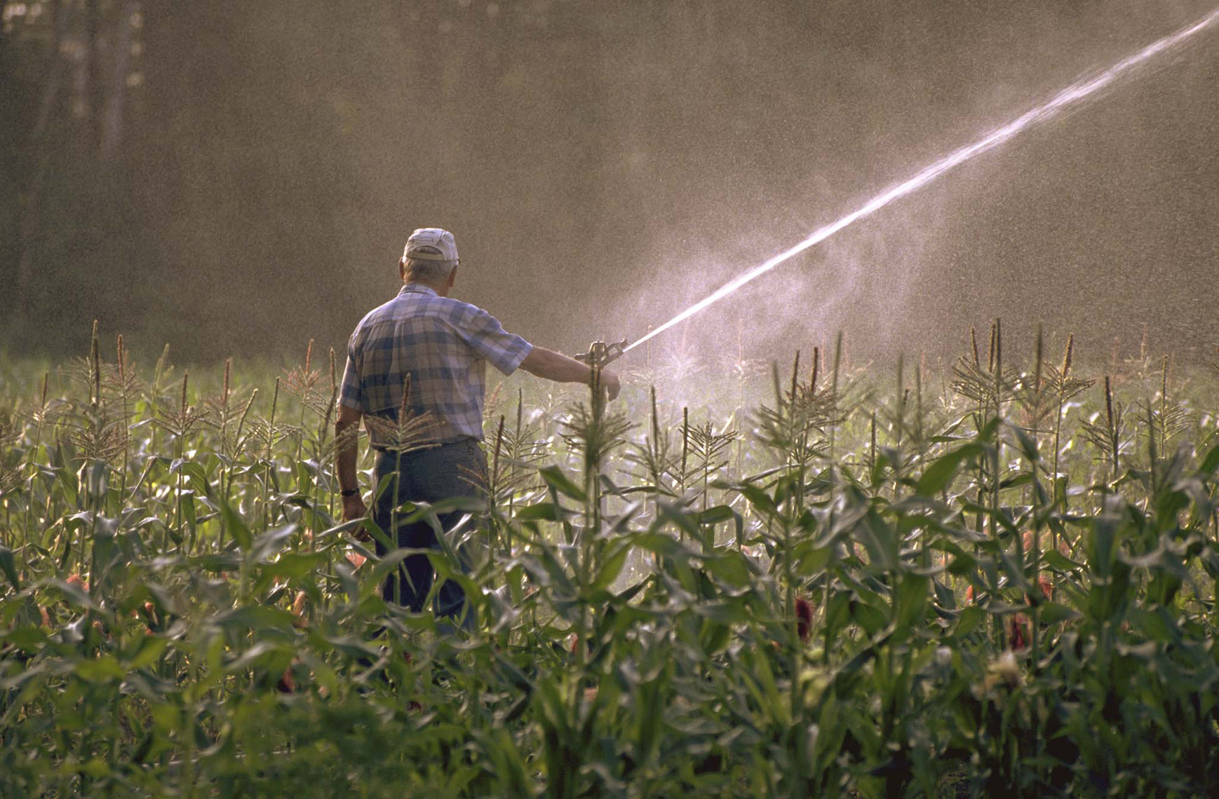 Spray.jpg